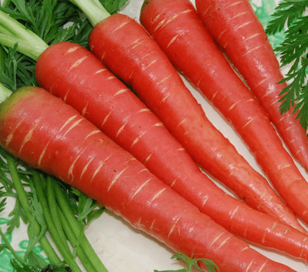 Health Benefits of Carrots