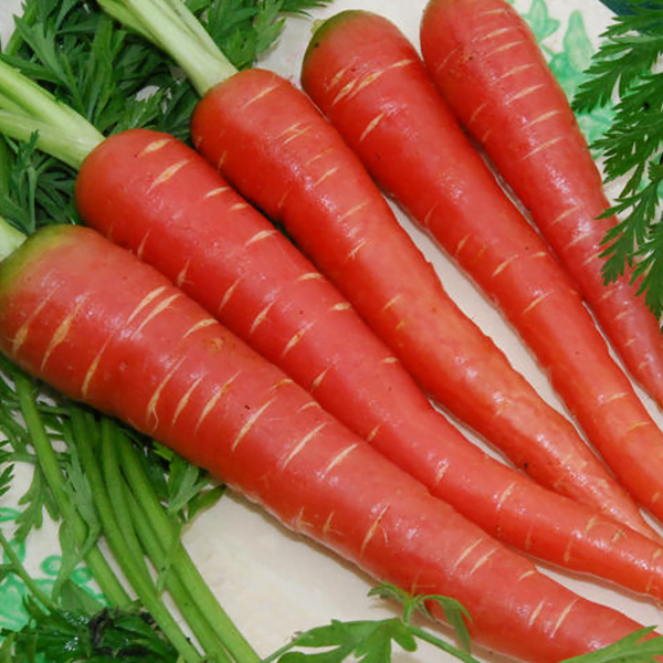 health benefits of carrots