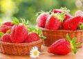 Health Benefits of Strawberries