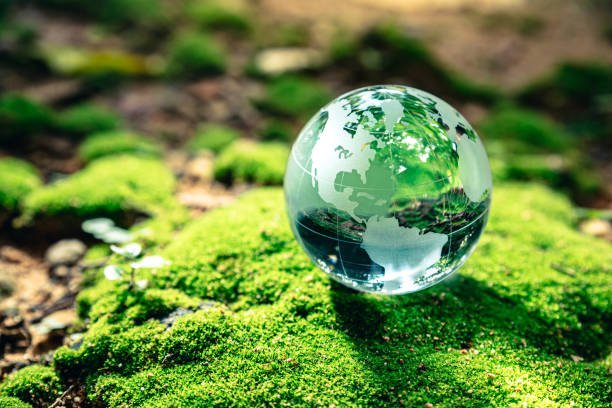 Environmental Protection in Islam