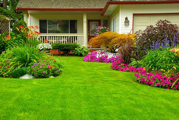 Health Benefits of Home Gardening. istockphoto