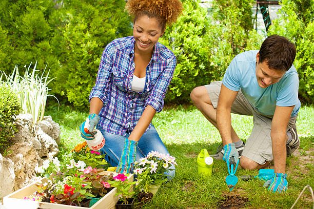 Health Benefits of Home Gardening. istockphoto