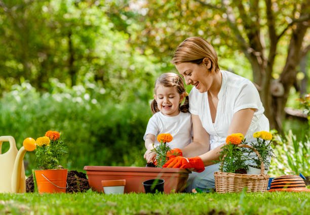 Health Benefits of Home Gardening. istockphoto