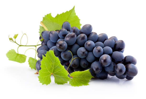 Health Benefits of Eating Grapes. istockphoto