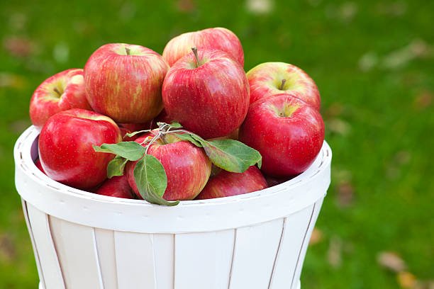 Eating Apples Daily Is Good For Your Health. istockphoto