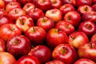 Health benefits of eating apples. istockphoto