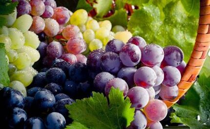 Health Benefits of Eating Grapes. istockphoto