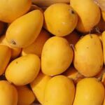 Health Benefits of Eating Mangos. istockphoto