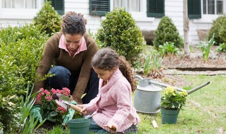 Benefits of Home Gardening. istockphoto