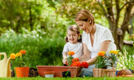 Benefits of Home Gardening. istockphoto. istockphoto